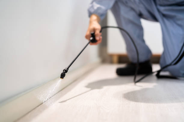 Bed Bug Pre-Treatment Preparation Assessment in Cleary