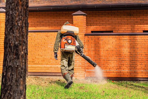 Bed Bug Clearance Verification and Documentation in Cleary